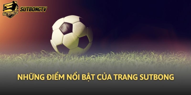 Những điểm nổi bật của trang Sutbong